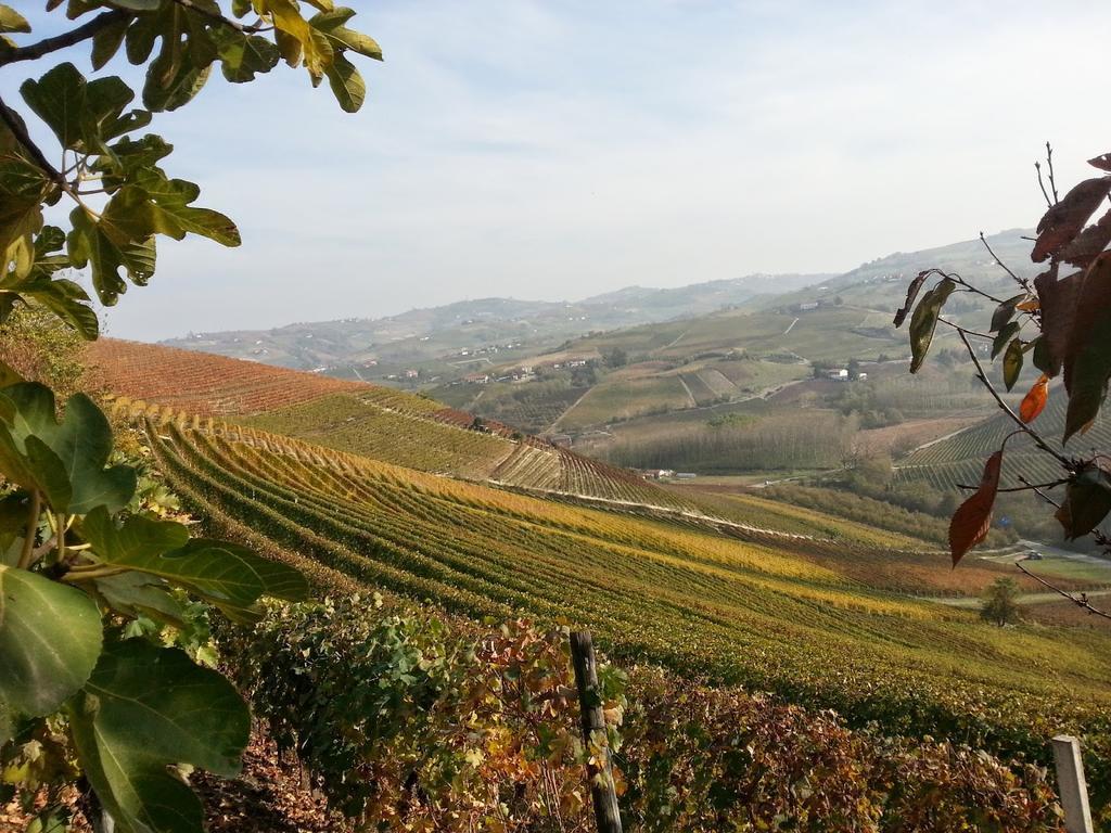 Villa Barbero Alba Langhe Mango Exterior foto
